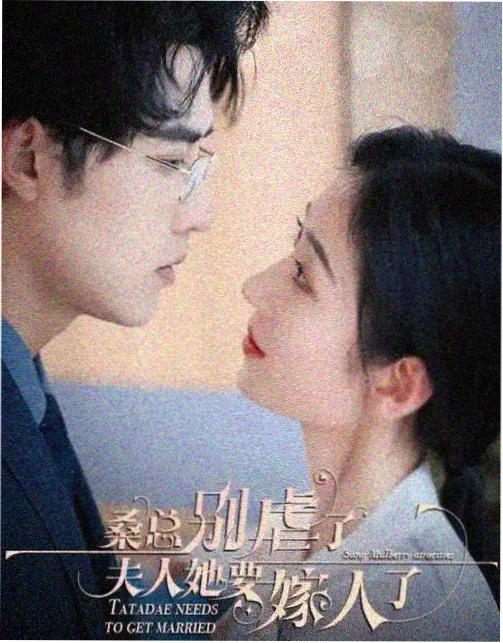 年代剧集双生回声海报