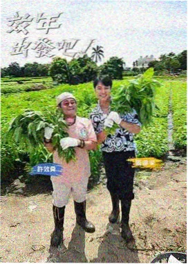 观察类综艺三分钟改命海报